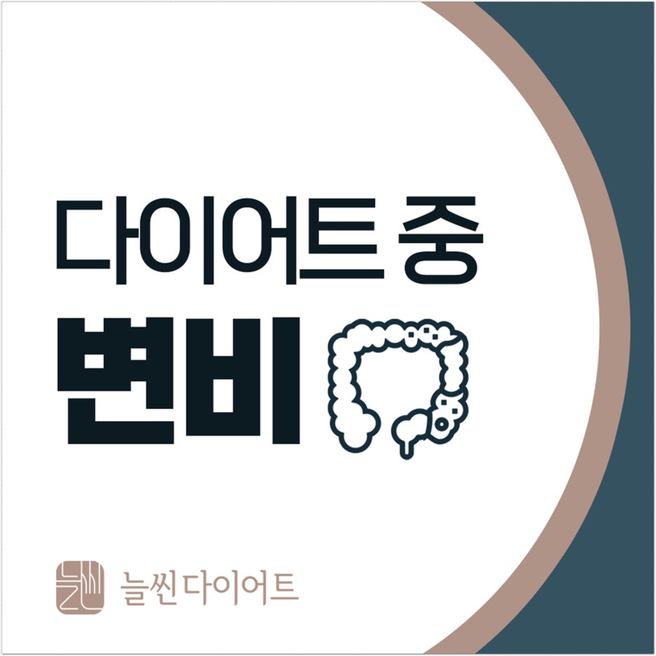 다이어트 중 변비