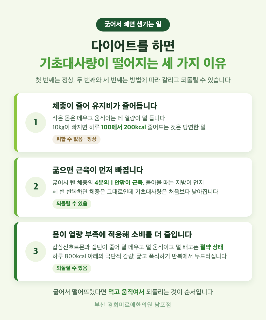다이어트를 하면 기초대사량이 떨어지는 세 가지 이유 - 체중이 줄어 유지비 감소, 굶으면 근육이 먼저 빠짐, 몸이 열량 부족에 적응해 소비를 더 줄임 - 경희미르애한의원 남포점
