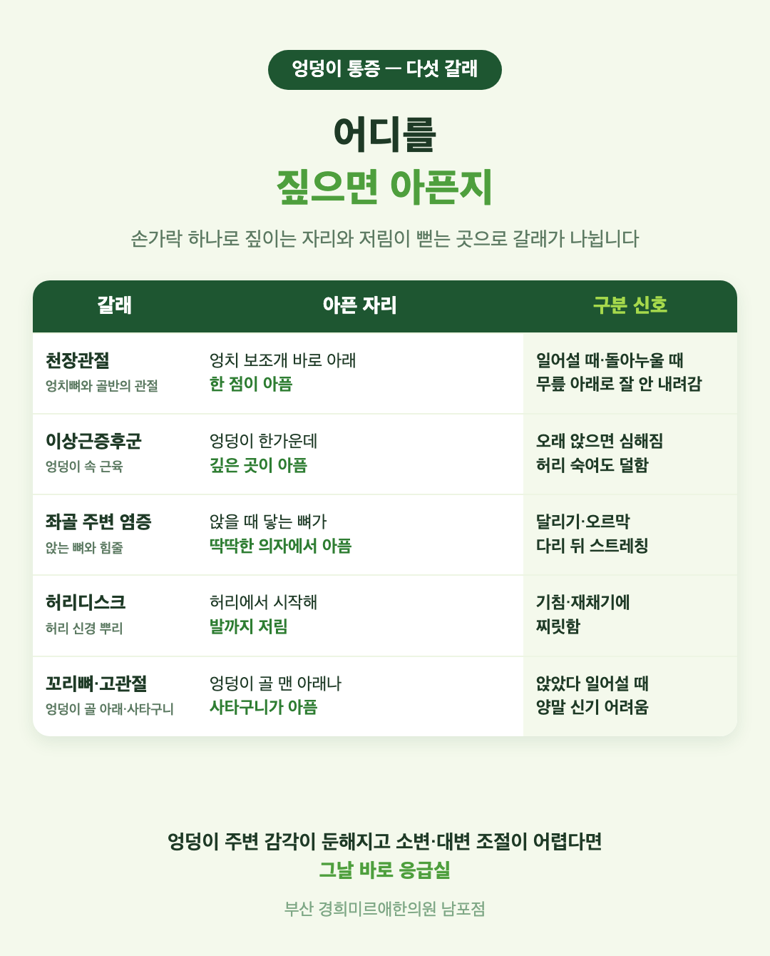 엉덩이 통증 다섯 갈래 비교 표 - 천장관절, 이상근증후군, 좌골 주변 염증, 허리디스크 신경 통증, 꼬리뼈와 고관절의 아픈 자리와 구분 신호 - 경희미르애한의원 남포점