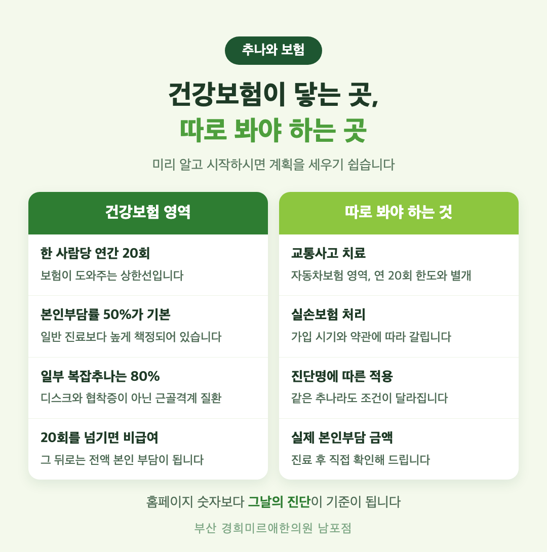 추나요법 건강보험이 닿는 범위와 닿지 않는 범위 비교 인포그래픽 — 연 20회 한도와 자동차보험 구분