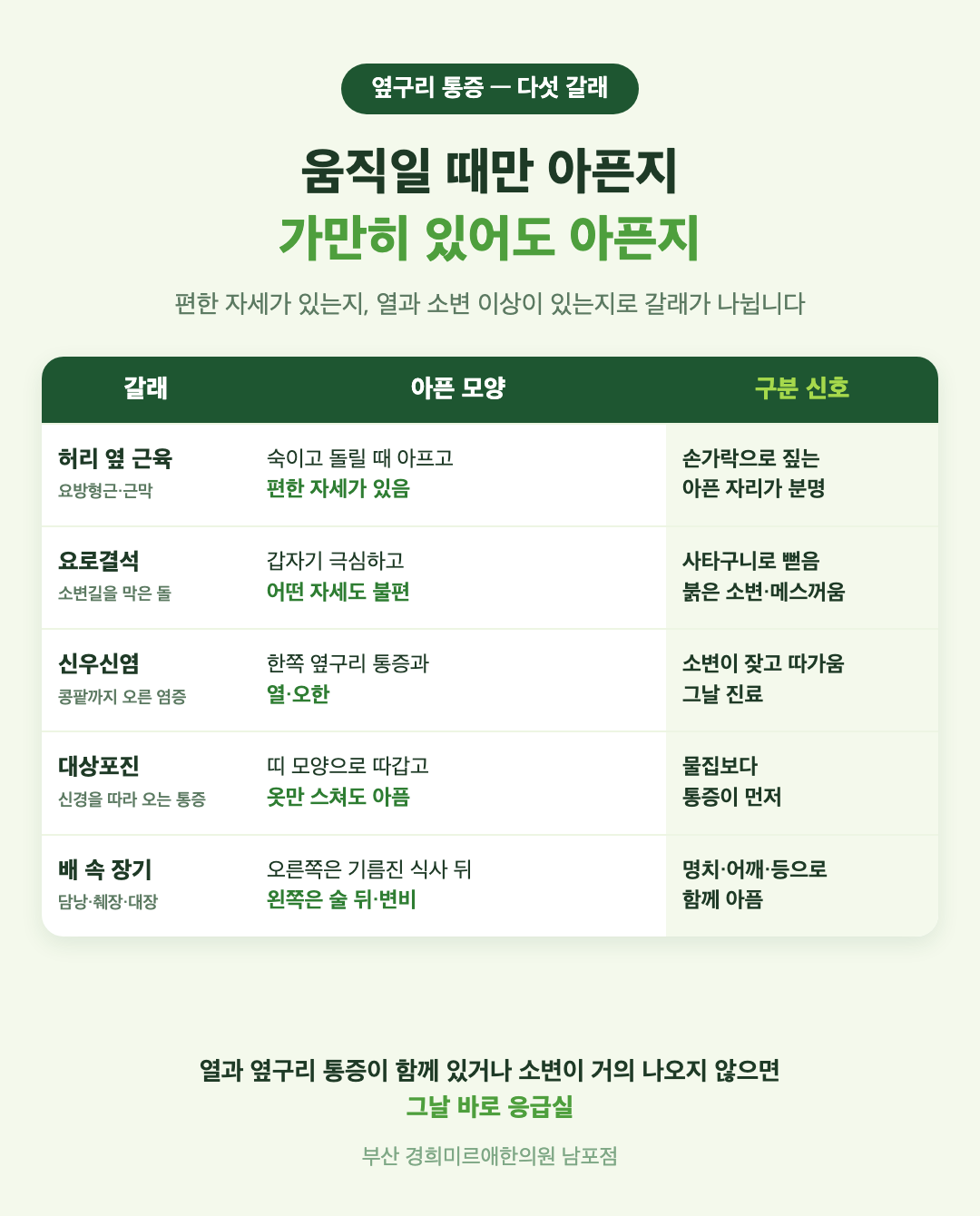 옆구리 통증 다섯 갈래 비교 표 - 허리 옆 근육, 요로결석, 신우신염, 대상포진, 배 속 장기의 아픈 모양과 구분 신호 - 경희미르애한의원 남포점