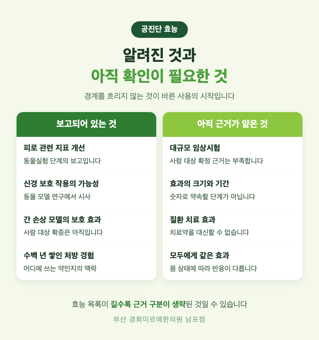 공진단 효능에서 알려진 것과 아직 확인이 필요한 것 비교 인포그래픽