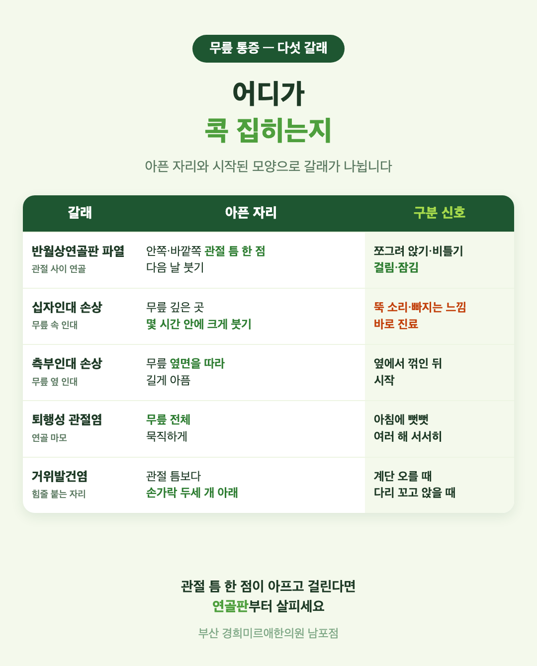 무릎 통증 다섯 갈래 비교 표 - 반월상연골판 파열, 십자인대 손상, 측부인대 손상, 퇴행성 관절염, 거위발건염의 아픈 자리와 구분 신호 - 경희미르애한의원 남포점