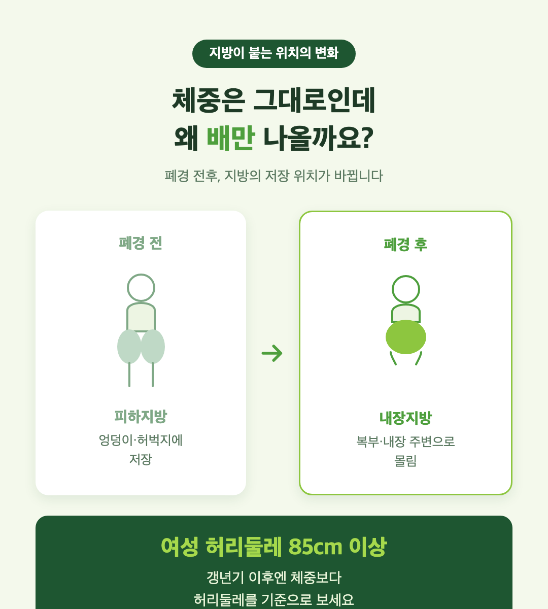 폐경 전후 지방이 붙는 위치 변화 — 피하지방에서 내장지방으로, 여성 허리둘레 85cm 이상은 복부비만