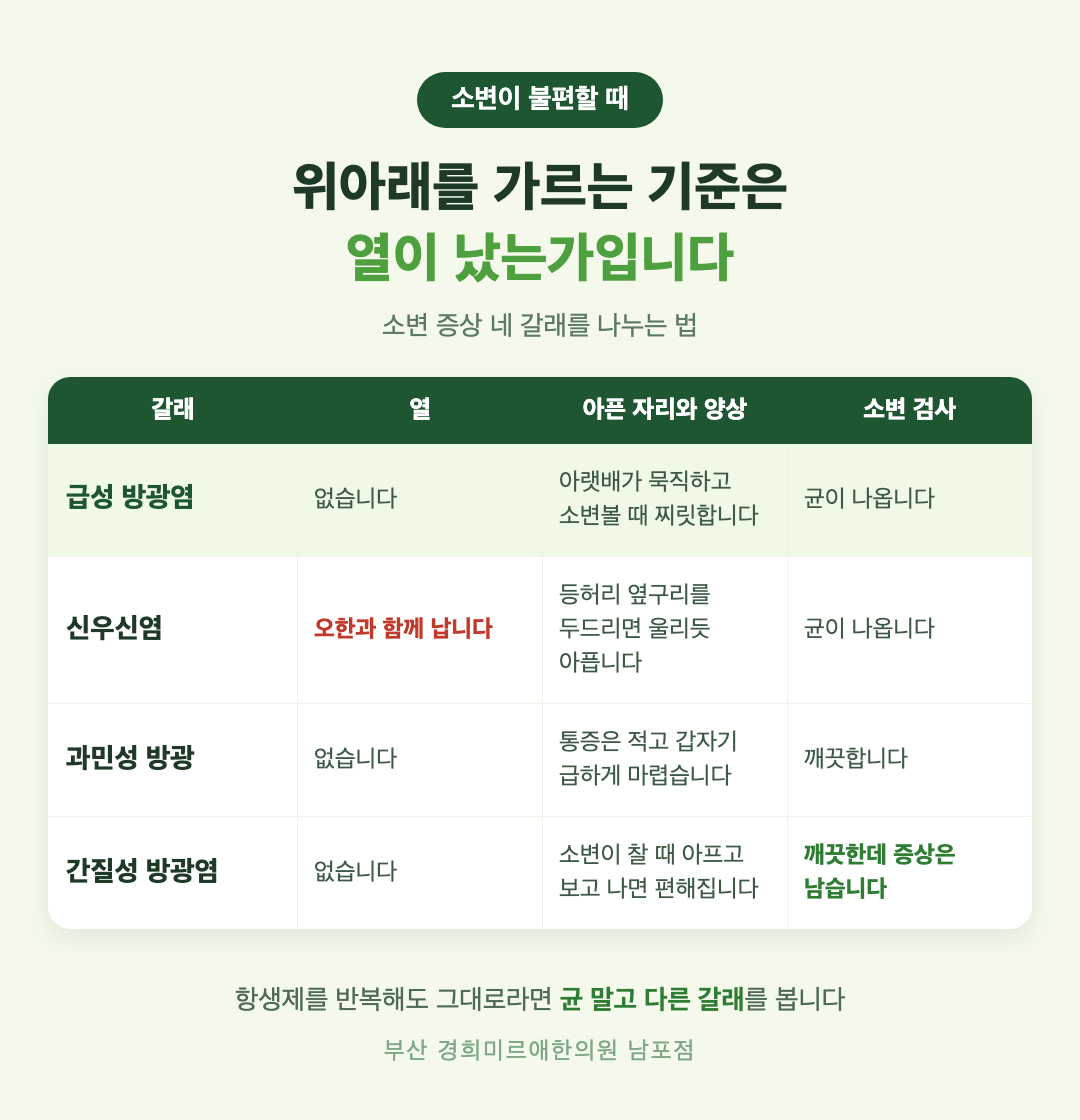 방광염과 신우신염, 과민성 방광, 간질성 방광염 비교 인포그래픽 - 열과 통증 부위, 소변 검사 결과의 차이