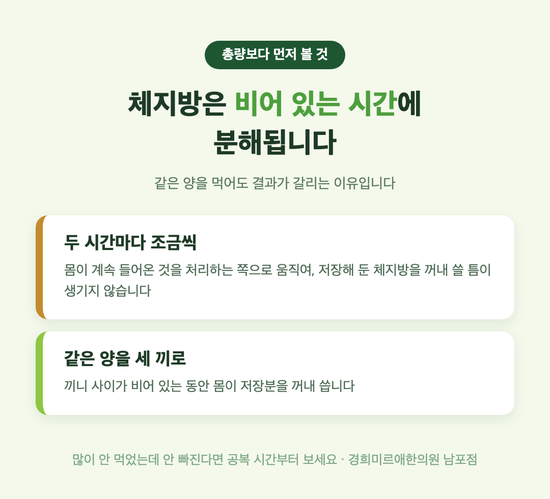 체지방은 공복 시간에 분해된다는 설명 인포그래픽 — 자주 먹기와 세 끼로 나누기 비교